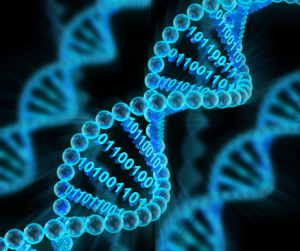 DNAアクティベーション＆リペア
